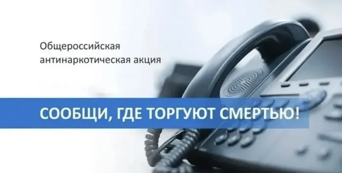 JFSQ6S3M9TqwrDJBc8vnUOS6A4Eia7DDXlffZlzK_fit-in_1024x1024_filters_quality(80)_format(webp)_www.leocdn.ru_uploadsForSiteId_200721_content_702d9e41-6012-4ae8-9e6d-ef8366acd177